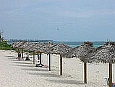 Beach on Grand Bahama